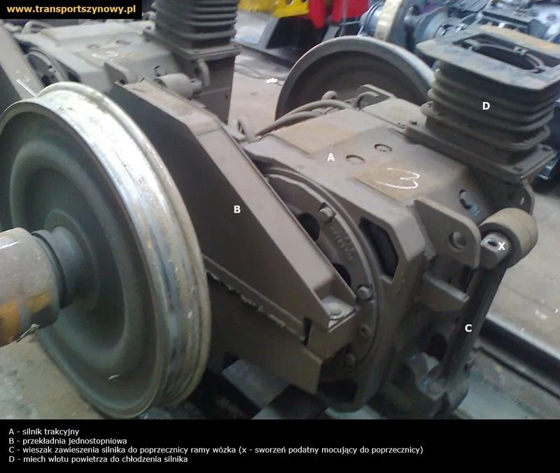 Magiczne dźwięki: Od akordeonu po dudy w fascynującej podróży po świecie miechów!