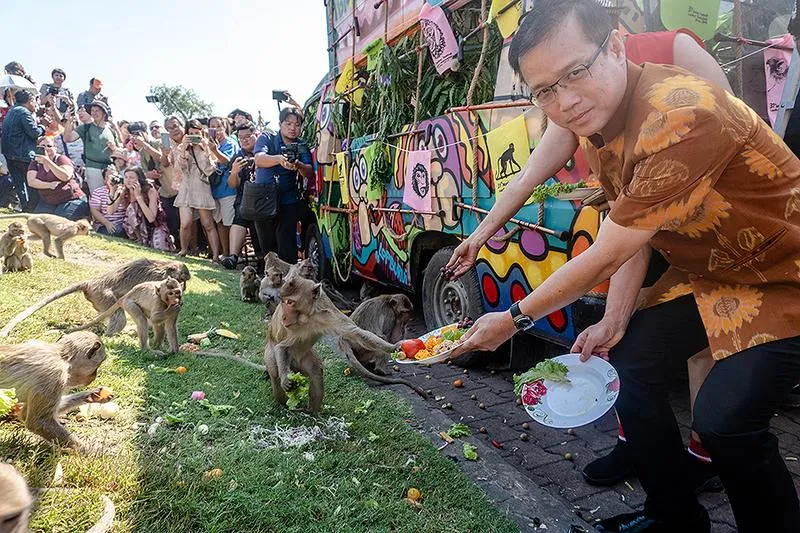 Malpa przyciągnie tłumy na letnim festiwalu z wyjątkowymi występami o czymś niezwykłym