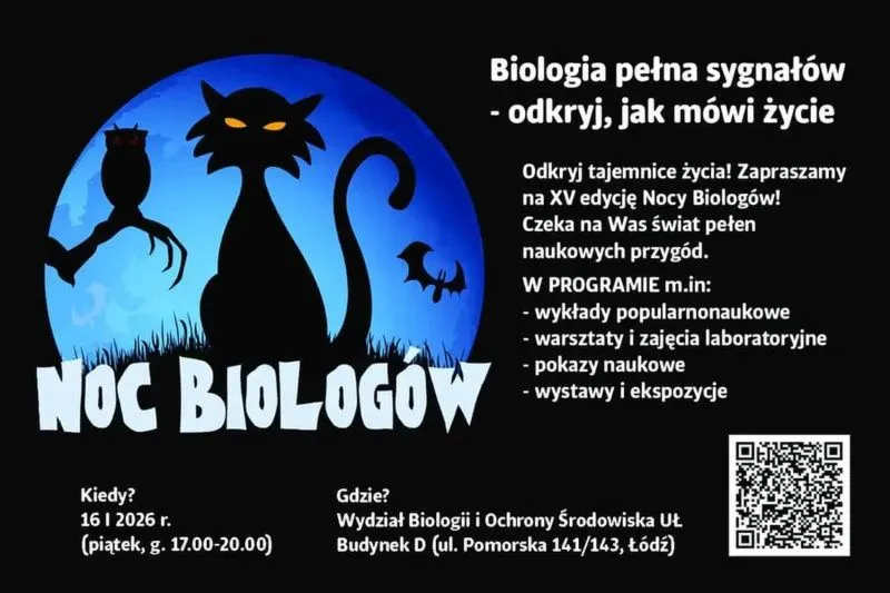 Odkryj tajemnice: fragment utworu muzycznego w analizie i interpretacji struktury