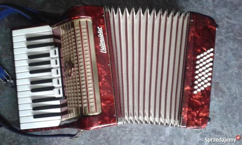 Akordeony Fisitalia dla dzieci i młodzieży