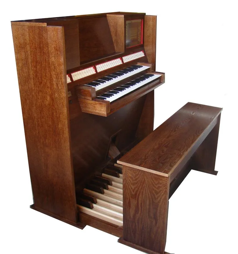 Klasyfikacja organów w muzyce