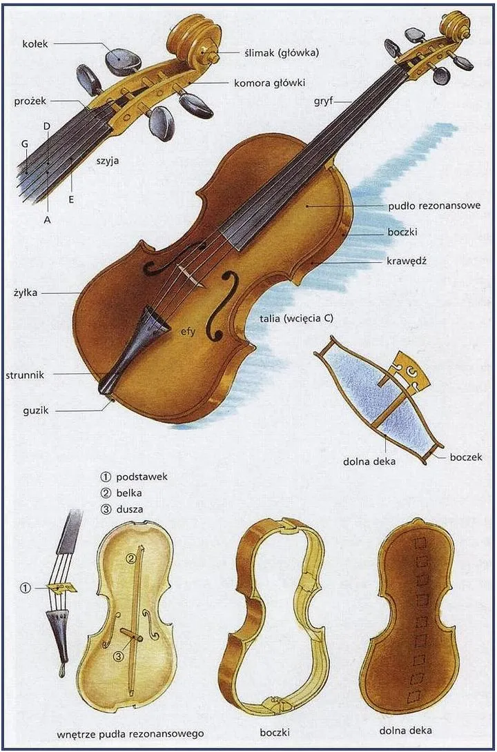 Materiały i techniki budowy skrzypiec