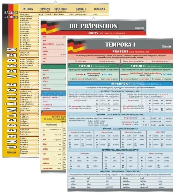 Mity i fakty językowe