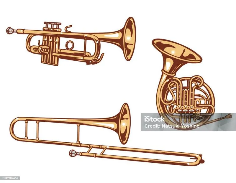 Puzon a trąbka różnice