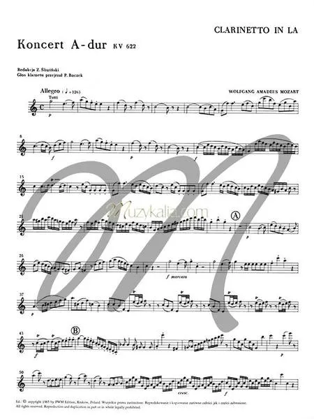 Rozwój umiejętności muzycznych
