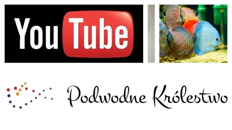 Zaginione cywilizacje i podwodne ruiny