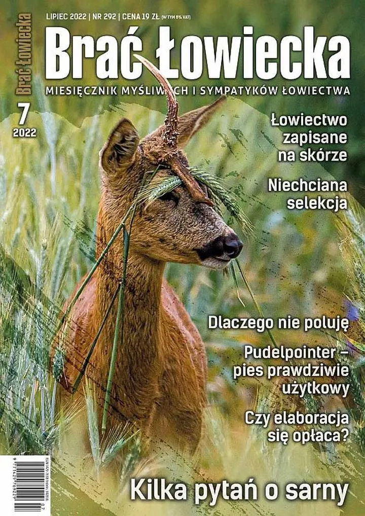 Znaczenie i przekaz emocjonalny Brać